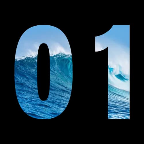 Ocean Conservation