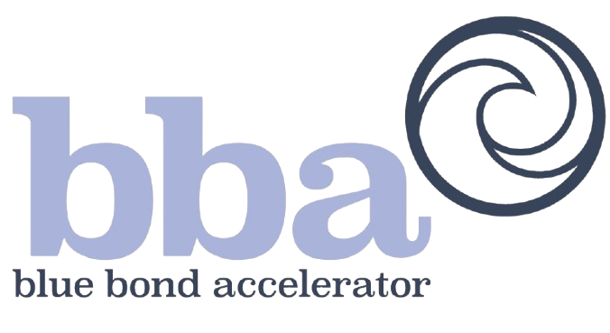 BBA logo variation 1
